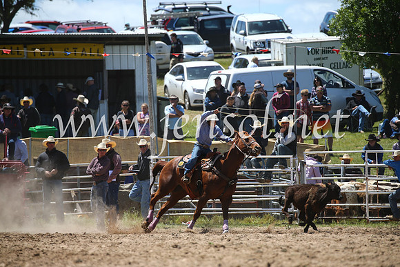 BungendoreRodeo2016-2311