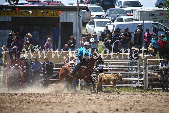 BungendoreRodeo2016-2267