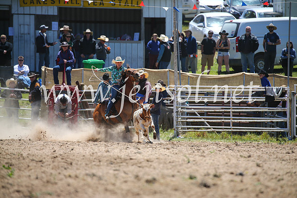 BungendoreRodeo2016-1589