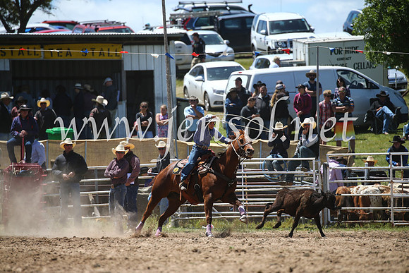 BungendoreRodeo2016-2309