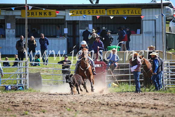BungendoreRodeo2016-164