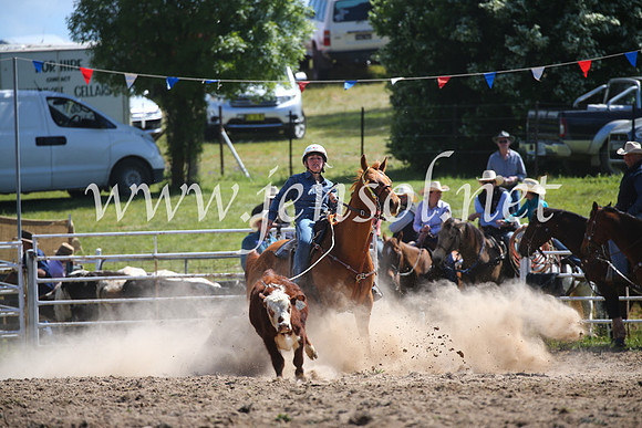 BungendoreRodeo2016-339