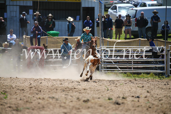 BungendoreRodeo2016-1599