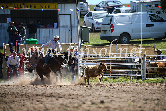 BungendoreRodeo2016-305