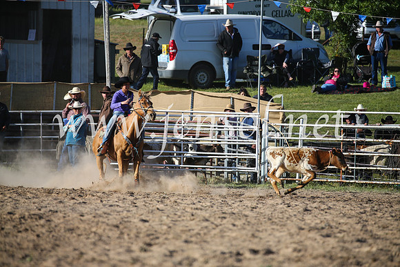 BungendoreRodeo2016-5202