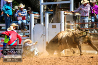 TaralgaRodeo2018_6326