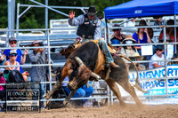 TaralgaRodeo2018_6431