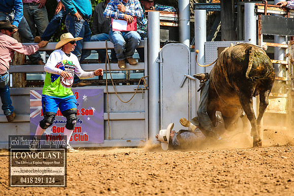 TaralgaRodeo2018_6314