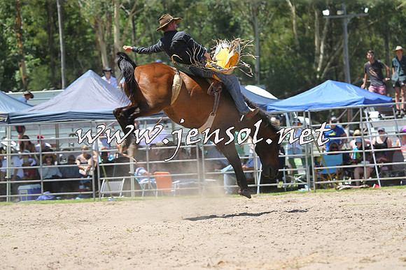 PictonRodeo2015_0942