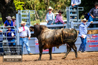 TaralgaRodeo2018_6355