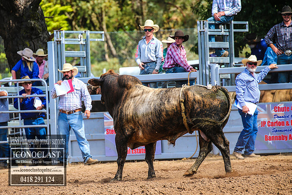TaralgaRodeo2018_6355
