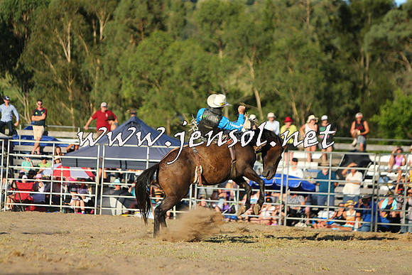 PictonRodeo2015_2295