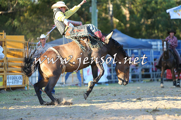 PictonRodeo2015_2321