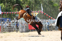 PictonRodeo2015_0934