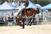 PictonRodeo2015_0958