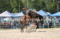 PictonRodeo2015_0951