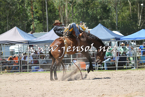 PictonRodeo2015_0951