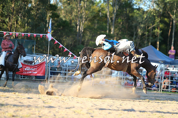 PictonRodeo2015_2270