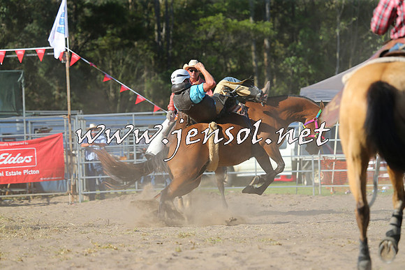 PictonRodeo2015_1922
