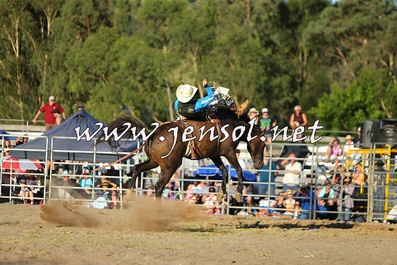 PictonRodeo2015_2297