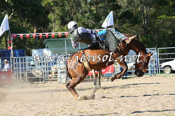 PictonRodeo2015_1943
