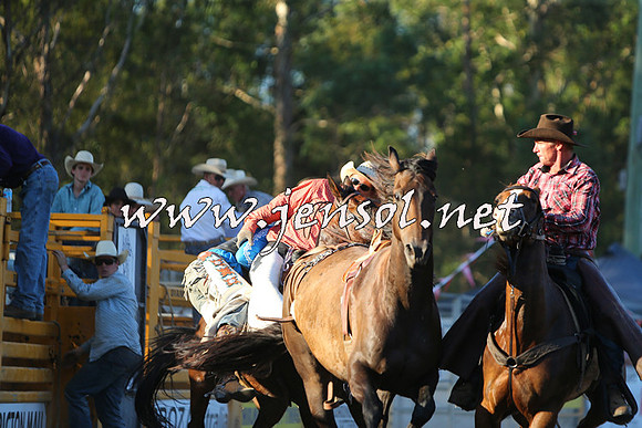 PictonRodeo2015_2308