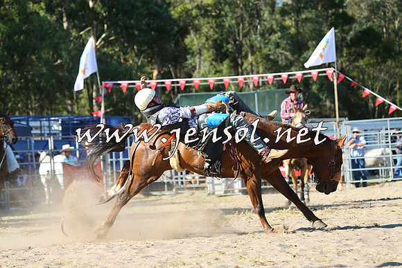 PictonRodeo2015_1934