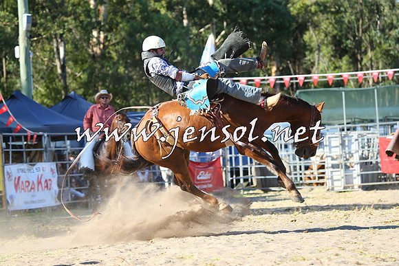 PictonRodeo2015_1935