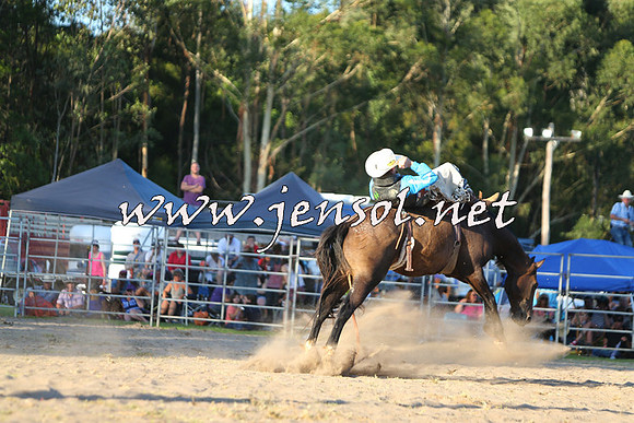 PictonRodeo2015_2265