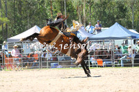 PictonRodeo2015_0950