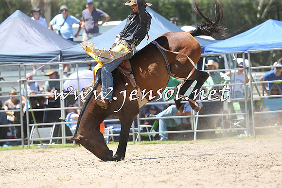 PictonRodeo2015_0957
