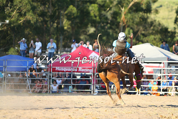 PictonRodeo2015_2363