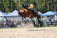 PictonRodeo2015_0941
