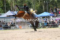 PictonRodeo2015_0943