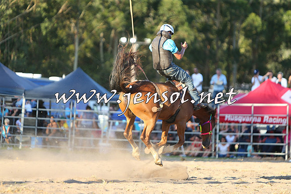 PictonRodeo2015_2359