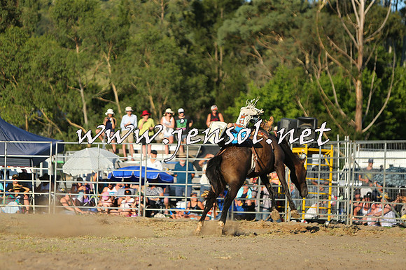 PictonRodeo2015_2288