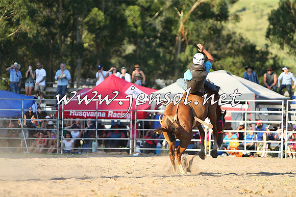 PictonRodeo2015_2361