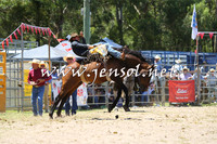 PictonRodeo2015_0935
