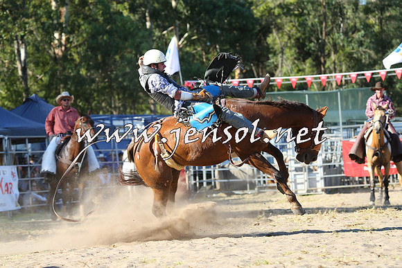 PictonRodeo2015_1932