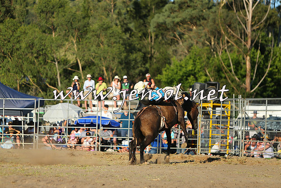 PictonRodeo2015_2289