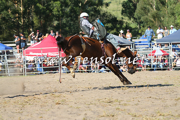 PictonRodeo2015_1944