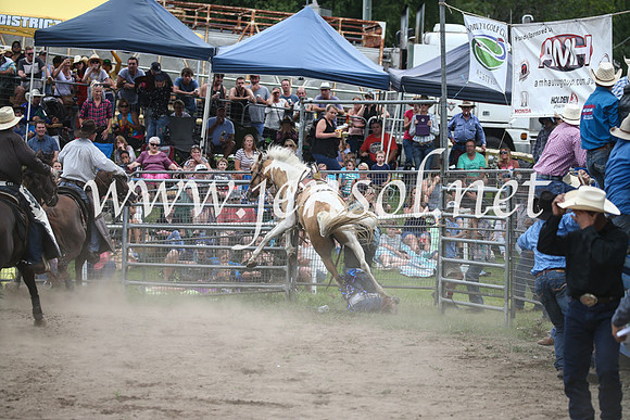 MoruyaRodeo2017_7224