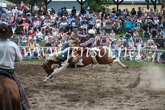 MoruyaRodeo2017_7143