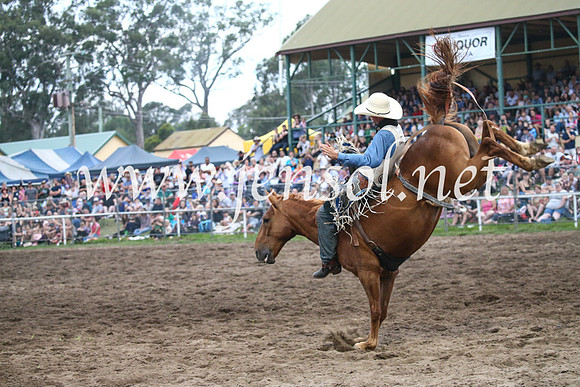 MoruyaRodeo2017_8030