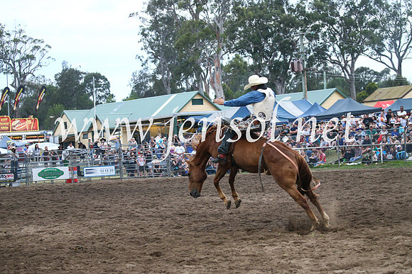 MoruyaRodeo2017_8032