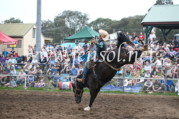 MoruyaRodeo2017_8098