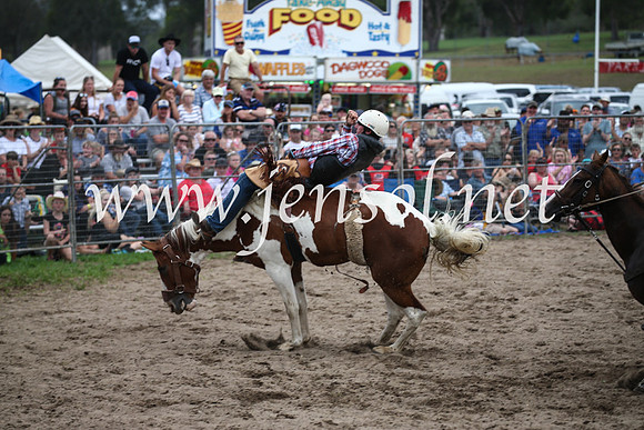 MoruyaRodeo2017_7159