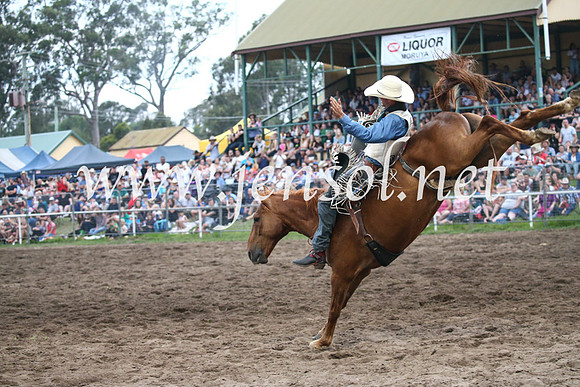 MoruyaRodeo2017_8031