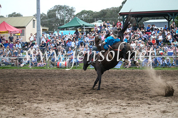 MoruyaRodeo2017_8134