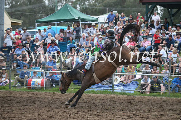 MoruyaRodeo2017_8000